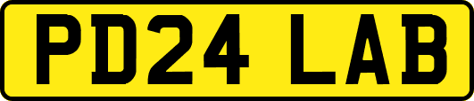PD24LAB