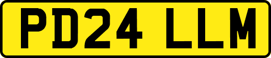 PD24LLM