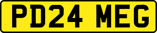 PD24MEG