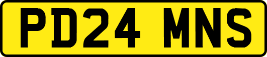 PD24MNS