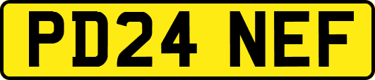 PD24NEF