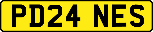 PD24NES