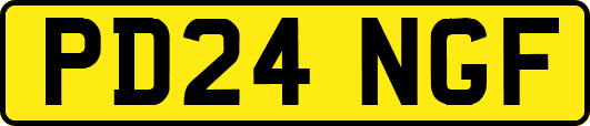 PD24NGF