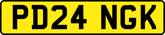 PD24NGK