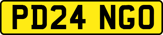 PD24NGO