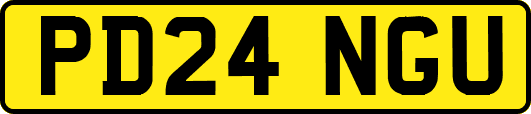 PD24NGU