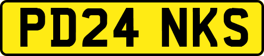 PD24NKS