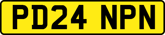 PD24NPN
