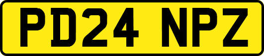 PD24NPZ