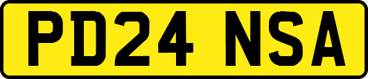 PD24NSA