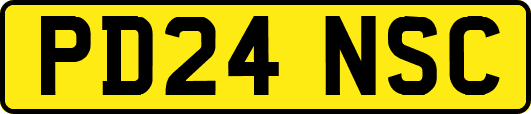 PD24NSC