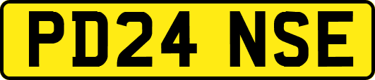 PD24NSE