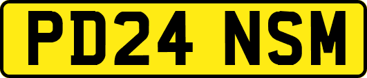 PD24NSM
