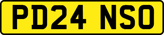 PD24NSO
