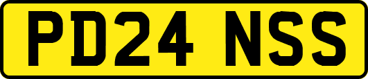 PD24NSS