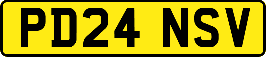 PD24NSV