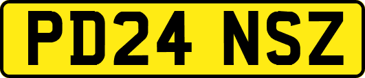 PD24NSZ