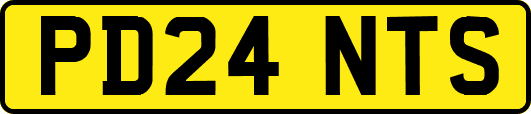 PD24NTS