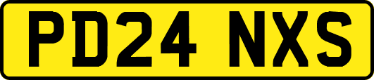 PD24NXS
