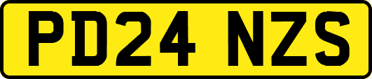 PD24NZS