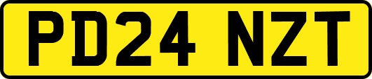 PD24NZT