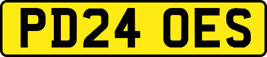 PD24OES