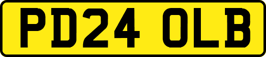PD24OLB