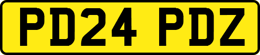 PD24PDZ