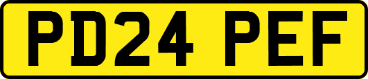 PD24PEF