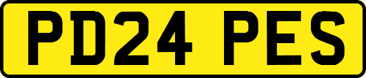 PD24PES