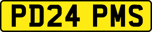 PD24PMS