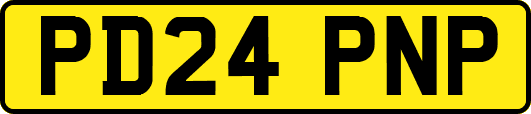 PD24PNP