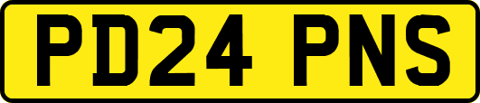 PD24PNS