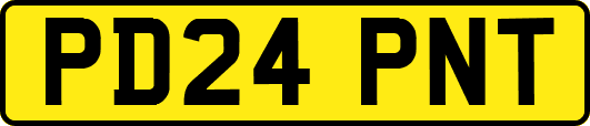 PD24PNT