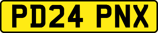 PD24PNX