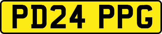 PD24PPG