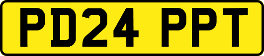 PD24PPT