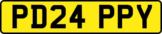 PD24PPY