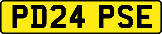 PD24PSE
