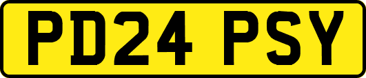 PD24PSY