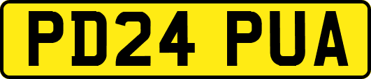 PD24PUA