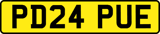 PD24PUE