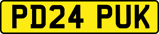 PD24PUK