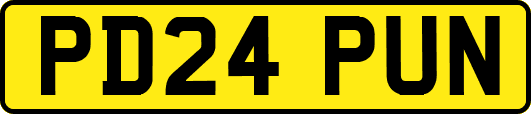 PD24PUN