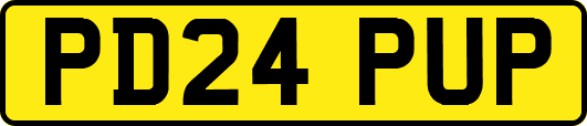 PD24PUP