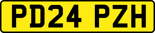 PD24PZH