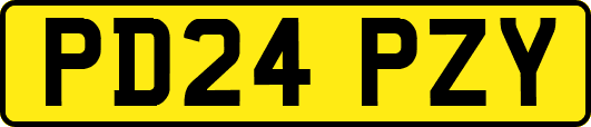 PD24PZY