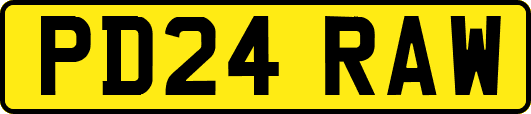 PD24RAW