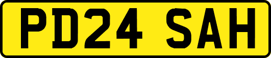 PD24SAH