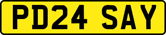 PD24SAY